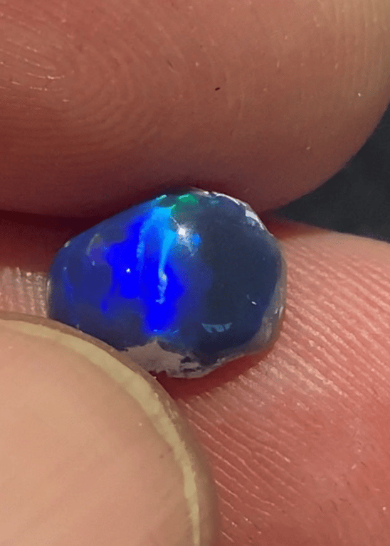 Blue wave billede 2