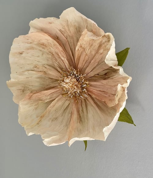 Stor, sart beige blomst med grønne blade mod en grå baggrund. (1)