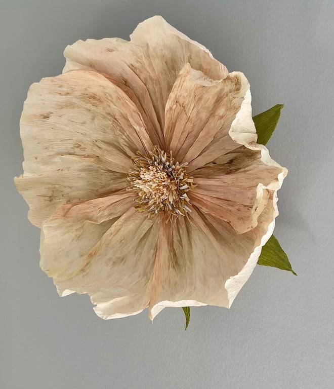 Stor, sart beige blomst med grønne blade mod en grå baggrund.