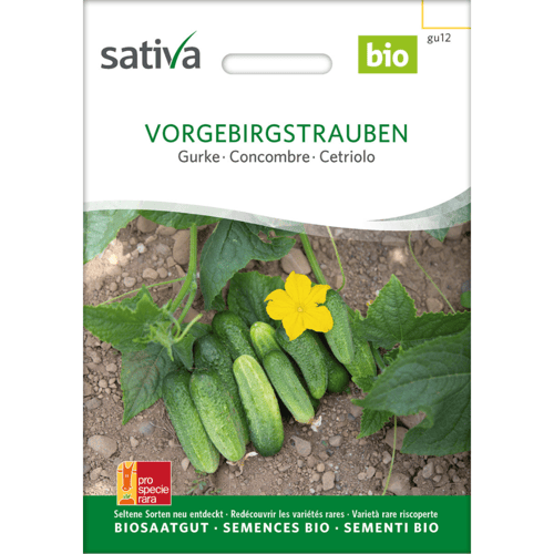 Frøpose til økologiske agurker af sorten Vorgebirgstrauben med billede af agurker og gul blomst på jord. (1)