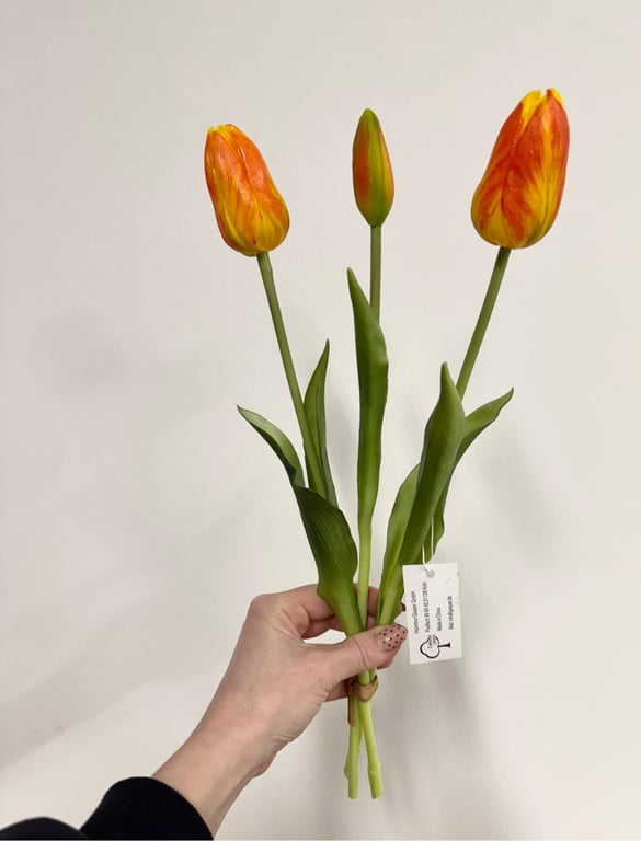 Tulipaner 3 stk. orange