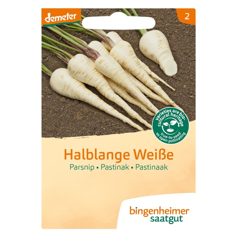 Frøpakke med kortlange hvide pastinakrødder liggende på jord, mærket "Halblange Weiße" fra Bingenheimer Saatgut.