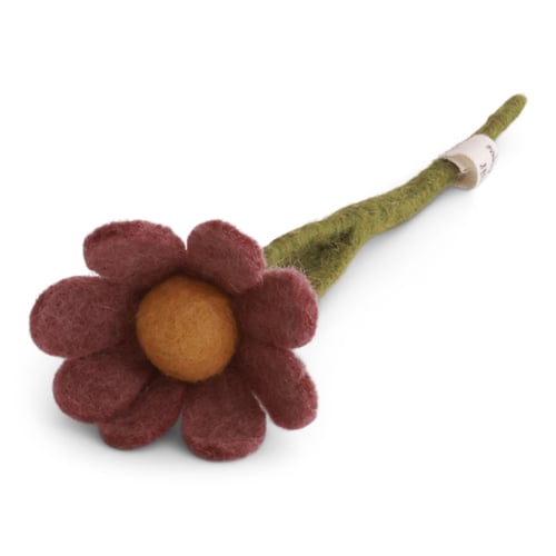 Filtblomst med brune kronblade og gul midte samt grøn stilk mod hvid baggrund. (3)