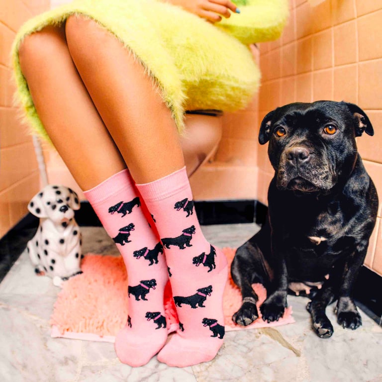 Person iført lyserøde sokker med sorte hundeprint sidder på et toilet, ved siden af en sort hund og en dalmatiner-figur.