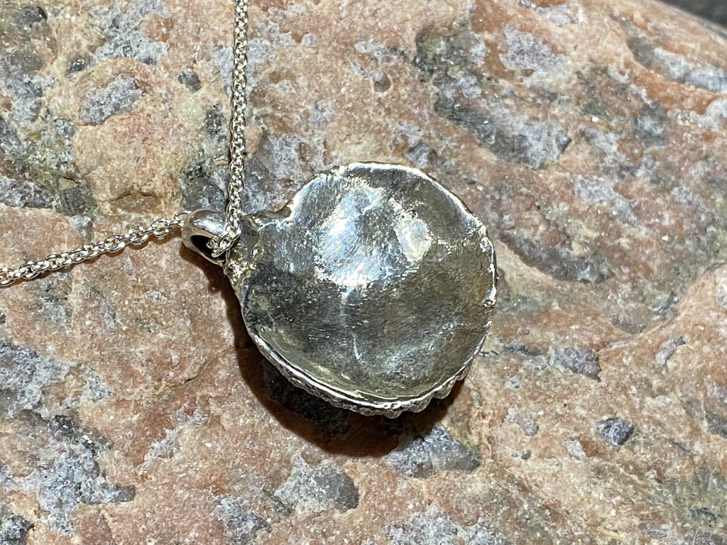 Fossil billede 4
