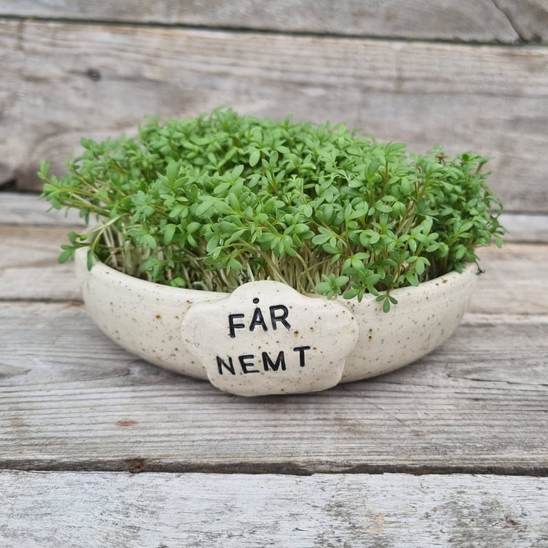 Karseskål "fårnemt" lys gul billede 8