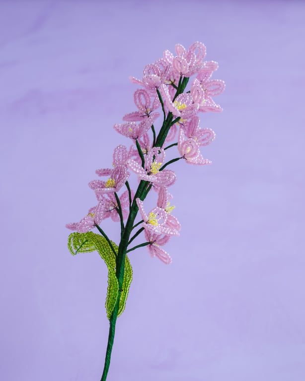 Lyserød perleblomst