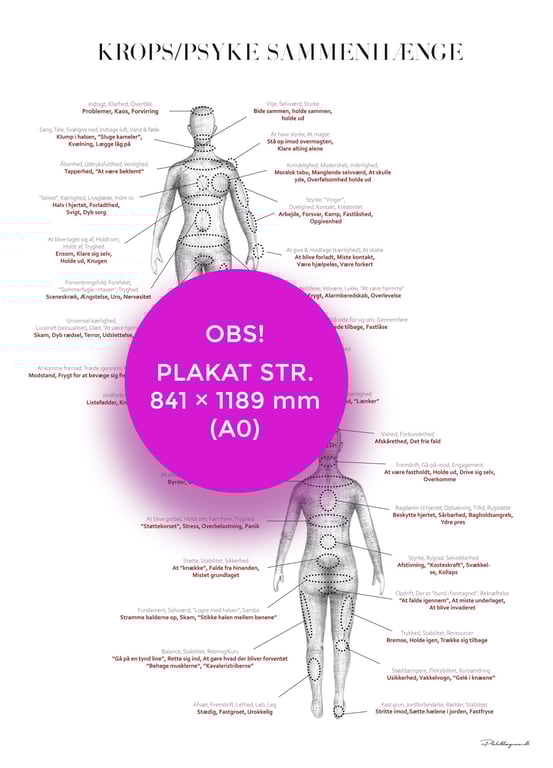 A0 KROPS/PSYKE SAMMENHÆNGE plakat (841 × 1189 mm)
