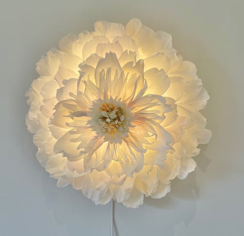 En blomstformet lampe lavet af tynde, hvide kronblade med varmt, glødende lys i midten, monteret på en væg. (3)