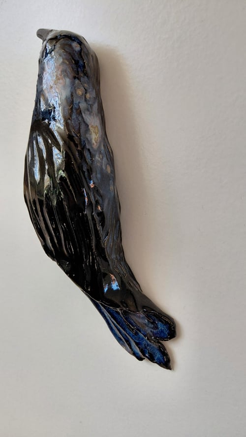 Hugin og Munin  (6)