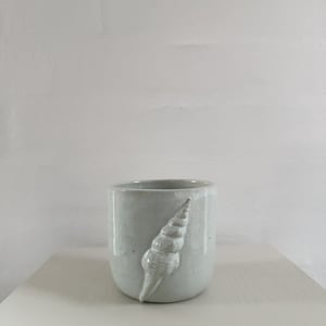 Konkylie mint #1 – produktbillede