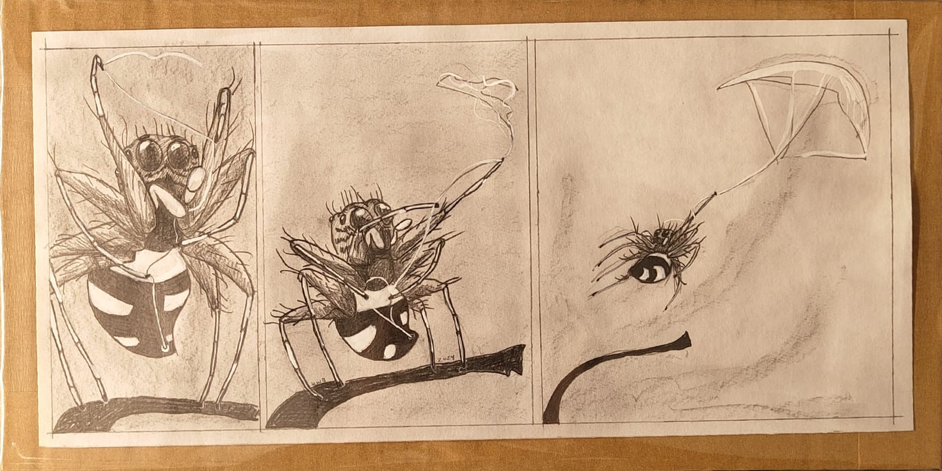 Jumping Spider original p14