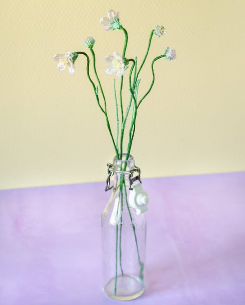 Sart lyserød perleblomst (4)