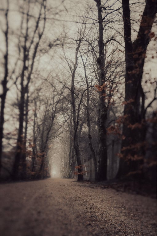 Path billede 3