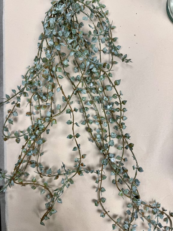 Hænge ranke billede 2