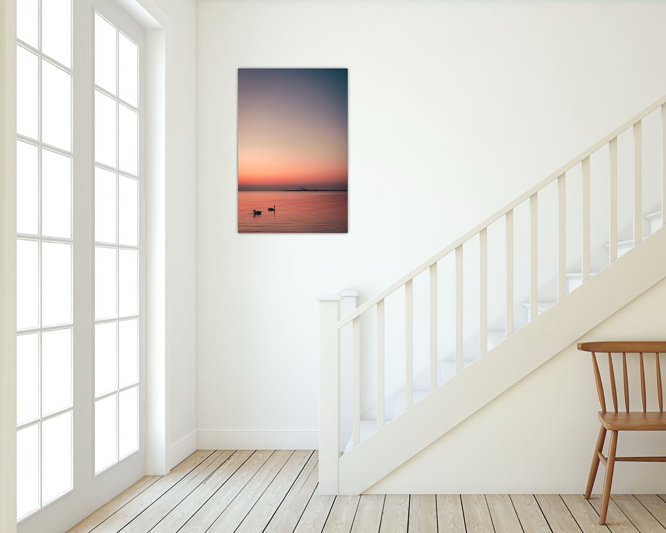 Svaner i silhuet mod Avedøreværket. billede 2