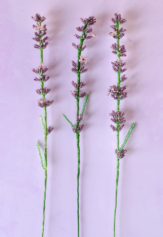 Lavendel perleblomst