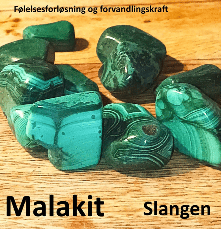 Kraftstenene i Medicinhjulet billede 14