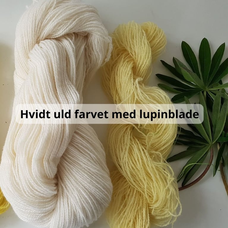 Solfarvning af garn billede 2