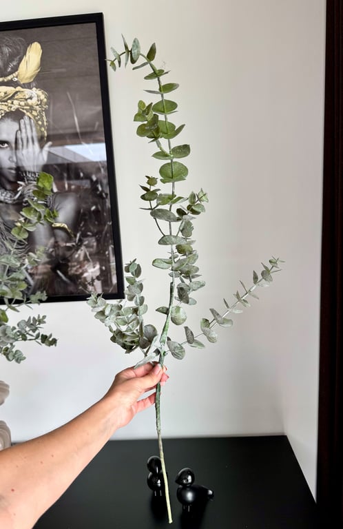 eucalyptus gren 75 cm billede 4