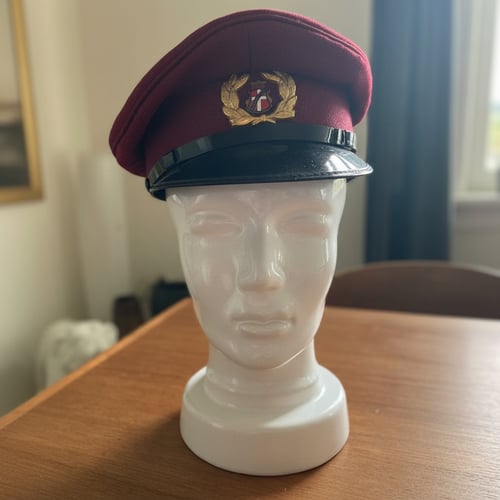 Uniforms kasket - Danmarks Bilruter